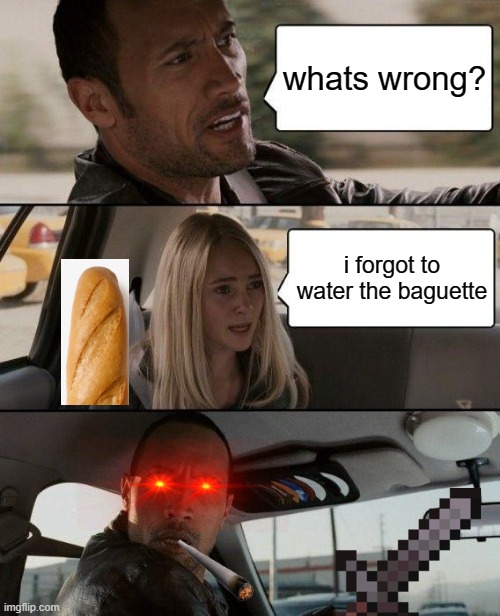 The Rock Driving Meme | whats wrong? i forgot to water the baguette | image tagged in memes,the rock driving | made w/ Imgflip meme maker