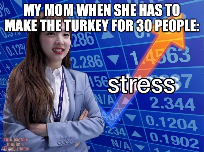 nayeon stonks stress | MY MOM WHEN SHE HAS TO MAKE THE TURKEY FOR 30 PEOPLE: | image tagged in nayeon stonks stress | made w/ Imgflip meme maker