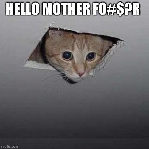 Hello there | HELLO MOTHER FO#$?R | image tagged in memes,ceiling cat,suprised | made w/ Imgflip meme maker