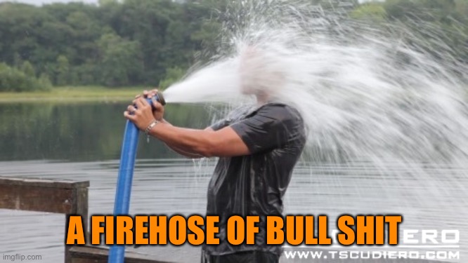 Firehose | A FIREHOSE OF BULL SHIT | image tagged in firehose | made w/ Imgflip meme maker