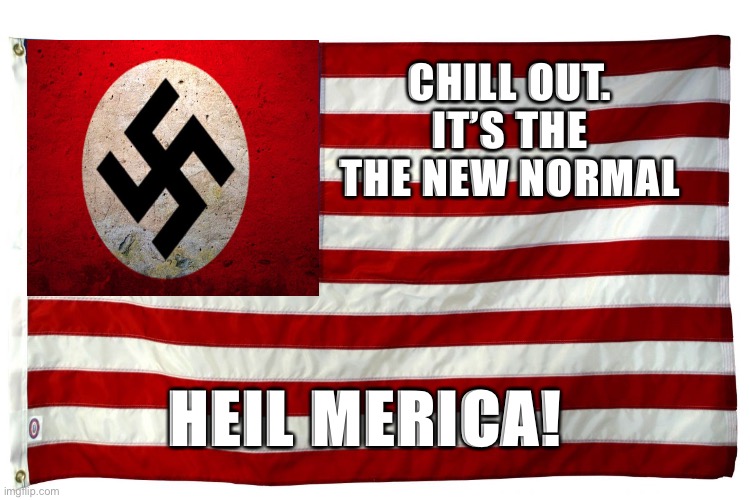 Merica | CHILL OUT. IT’S THE THE NEW NORMAL; HEIL MERICA! | image tagged in american flag,new normal,nazi | made w/ Imgflip meme maker