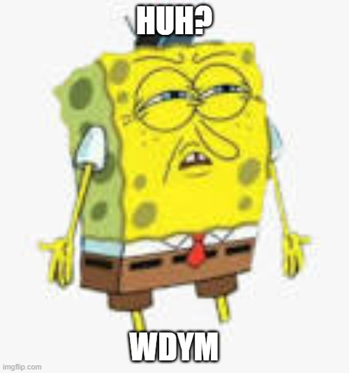 Very confused-bob | HUH? WDYM | image tagged in very confused-bob | made w/ Imgflip meme maker