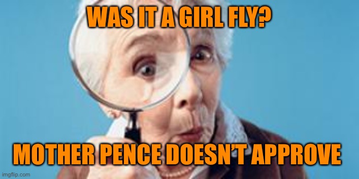 Old lady magnifying glass | WAS IT A GIRL FLY? MOTHER PENCE DOESN’T APPROVE | image tagged in old lady magnifying glass | made w/ Imgflip meme maker