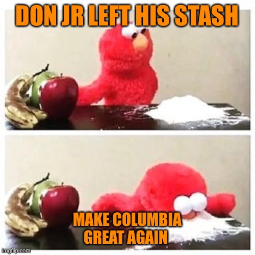 elmo cocaine | DON JR LEFT HIS STASH MAKE COLUMBIA GREAT AGAIN | image tagged in elmo cocaine | made w/ Imgflip meme maker
