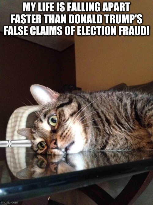 Existential Crisis Cat | MY LIFE IS FALLING APART FASTER THAN DONALD TRUMP'S FALSE CLAIMS OF ELECTION FRAUD! | image tagged in existential crisis cat | made w/ Imgflip meme maker