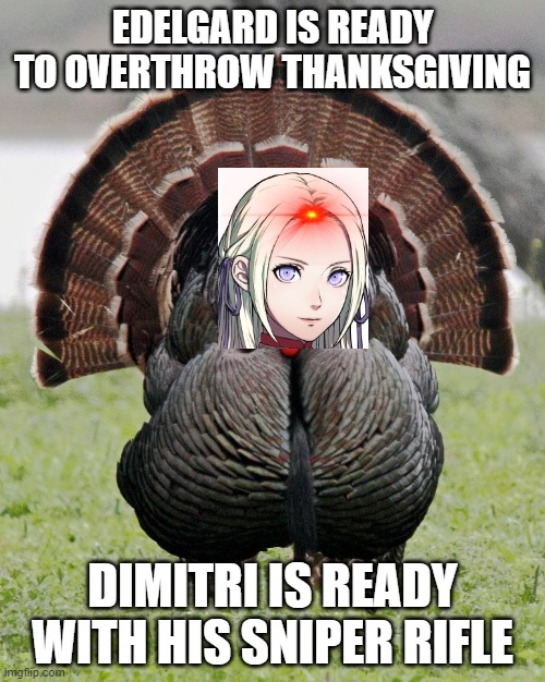 Turkey Strut | EDELGARD IS READY TO OVERTHROW THANKSGIVING; DIMITRI IS READY WITH HIS SNIPER RIFLE | image tagged in turkey strut | made w/ Imgflip meme maker