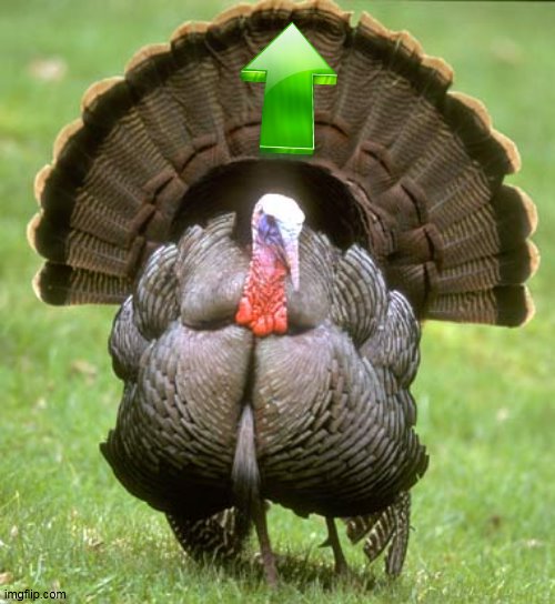 Turkey Meme | image tagged in memes,turkey | made w/ Imgflip meme maker