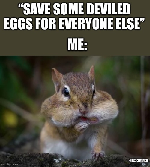 Nom nom | “SAVE SOME DEVILED EGGS FOR EVERYONE ELSE”; ME:; @BUZZCITYBAKER | image tagged in squirrel,food | made w/ Imgflip meme maker
