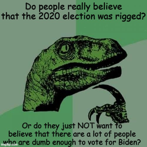 Hmm... | Do people really believe that the 2020 election was rigged? Or do they just NOT want to believe that there are a lot of people who are dumb enough to vote for Biden? | image tagged in memes,philosoraptor,election 2020,joe biden | made w/ Imgflip meme maker