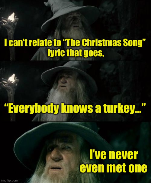 Not everybody knows a turkey | I can’t relate to “The Christmas Song”
 lyric that goes, “Everybody knows a turkey...”; I’ve never even met one | image tagged in memes,confused gandalf,turkey day | made w/ Imgflip meme maker