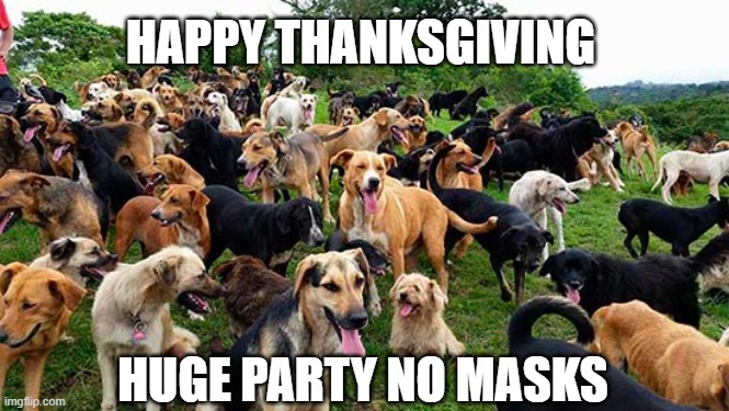Social Distancing Please - Get Your Nose Out of My Butt! | HAPPY THANKSGIVING; HUGE PARTY NO MASKS | image tagged in crazy dawg,yo dawg,who let the dogs out,happy thanksgiving,funny dogs,dogs | made w/ Imgflip meme maker