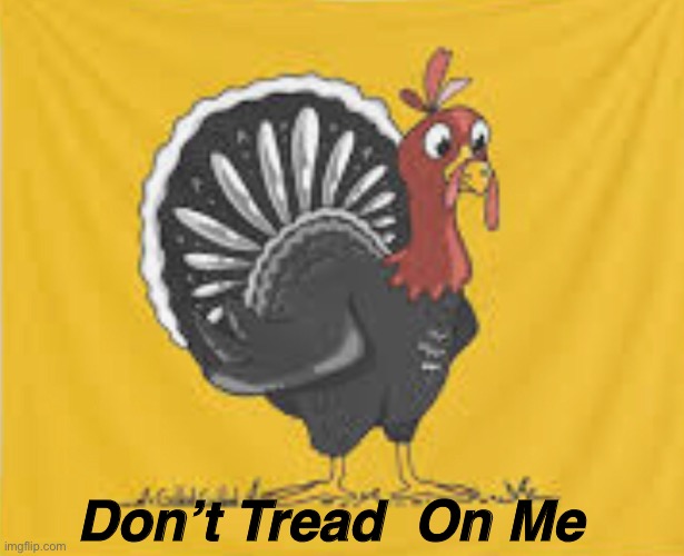 Don’t Tread  On Me | image tagged in quarantine,coronavirus,political meme,thanksgiving | made w/ Imgflip meme maker