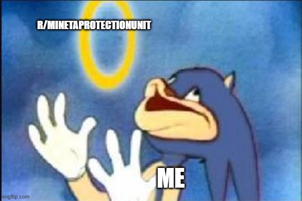 I made a reddit account and found my people! | R/MINETAPROTECTIONUNIT; ME | image tagged in sonic derp | made w/ Imgflip meme maker