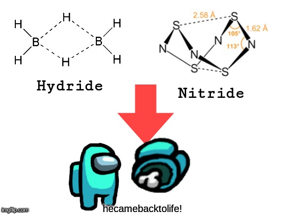 Hydride, Nitride, | hecamebacktolife! | image tagged in hydride nitride | made w/ Imgflip meme maker