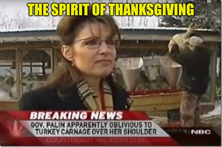 Remember this? | THE SPIRIT OF THANKSGIVING | image tagged in sarah palin turkey | made w/ Imgflip meme maker