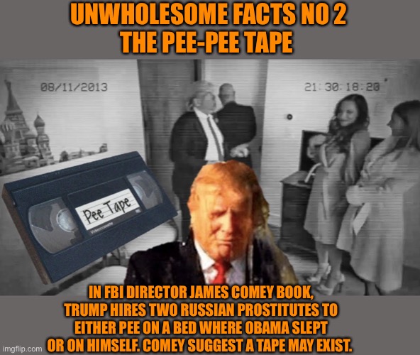 The wonderful legacy of Donald Trump | UNWHOLESOME FACTS NO 2
THE PEE-PEE TAPE; IN FBI DIRECTOR JAMES COMEY BOOK, TRUMP HIRES TWO RUSSIAN PROSTITUTES TO EITHER PEE ON A BED WHERE OBAMA SLEPT OR ON HIMSELF. COMEY SUGGEST A TAPE MAY EXIST. | image tagged in donald trump,pee,tape,president,election 2020,loser | made w/ Imgflip meme maker