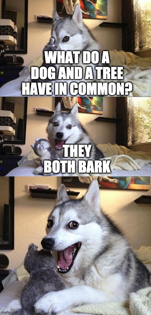 bad pun dog | WHAT DO A DOG AND A TREE HAVE IN COMMON? THEY BOTH BARK | image tagged in bad pun husky | made w/ Imgflip meme maker
