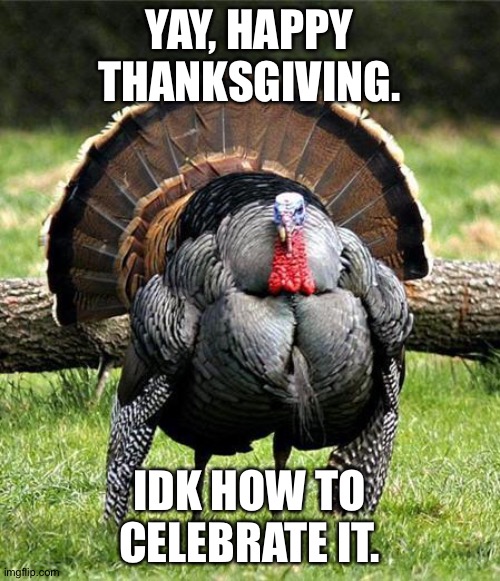 E | YAY, HAPPY THANKSGIVING. IDK HOW TO CELEBRATE IT. | image tagged in thanksgiving day | made w/ Imgflip meme maker