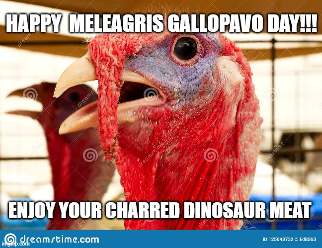 Turkey Day | HAPPY  MELEAGRIS GALLOPAVO DAY!!! ENJOY YOUR CHARRED DINOSAUR MEAT | image tagged in funny,thanksgiving | made w/ Imgflip meme maker