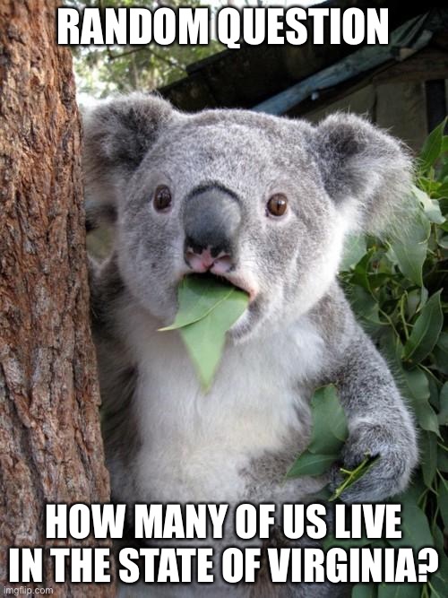 I live in Virginia | RANDOM QUESTION; HOW MANY OF US LIVE IN THE STATE OF VIRGINIA? | image tagged in memes,surprised koala,virginia | made w/ Imgflip meme maker