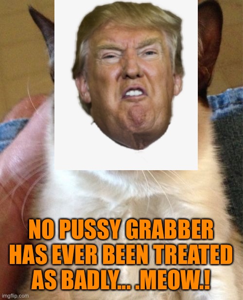 NO PUSSY GRABBER HAS EVER BEEN TREATED AS BADLY... .MEOW.! | made w/ Imgflip meme maker