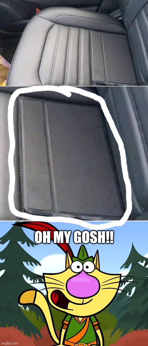 If 2020 was a camouflage chair (iPad) | OH MY GOSH!! | image tagged in no way nature cat,funny,2020,ipad,memes | made w/ Imgflip meme maker