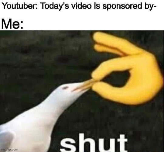 Shut! Shut! | Youtuber: Today’s video is sponsored by-; Me: | image tagged in shut,memes,seagull,sponsor,youtube | made w/ Imgflip meme maker