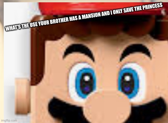 Mariolegotime | WHAT’S THE USE YOUR BROTHER HAS A MANSION AND I ONLY SAVE THE PRINCESS | image tagged in memes | made w/ Imgflip meme maker