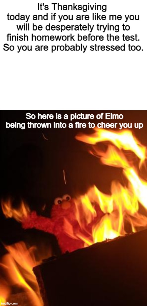 I threw Elmo in a fire for you! Happy Thanksgiving! | It's Thanksgiving 
today and if you are like me you will be desperately trying to finish homework before the test.
So you are probably stressed too. So here is a picture of Elmo being thrown into a fire to cheer you up | image tagged in blank white template,elmo saw too much,thanksgiving,feel good,slightly disturbing,homework | made w/ Imgflip meme maker