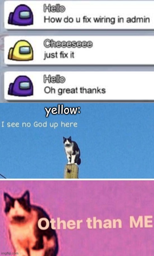 smart people be like | yellow: | image tagged in hail pole cat | made w/ Imgflip meme maker