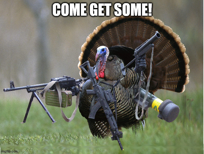 2A Turkey | COME GET SOME! | image tagged in thanksgiving | made w/ Imgflip meme maker