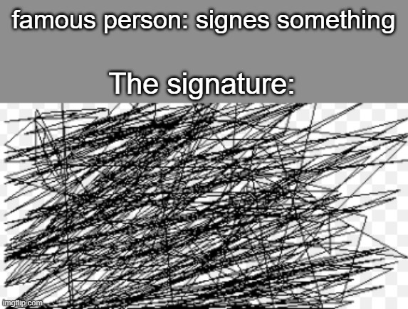 When someone signs something | famous person: signes something; The signature: | image tagged in funny memes | made w/ Imgflip meme maker