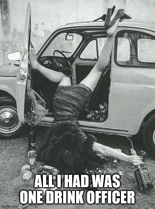 Drunk Girl  | ALL I HAD WAS ONE DRINK OFFICER | image tagged in drunk girl | made w/ Imgflip meme maker
