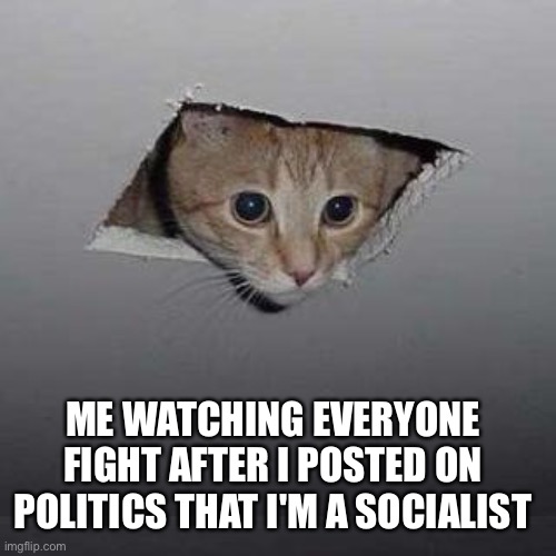 Ceiling Cat | ME WATCHING EVERYONE FIGHT AFTER I POSTED ON POLITICS THAT I'M A SOCIALIST | image tagged in memes,ceiling cat | made w/ Imgflip meme maker