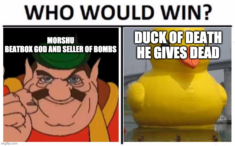 Who Would Win? | MORSHU
BEATBOX GOD AND SELLER OF BOMBS; DUCK OF DEATH
HE GIVES DEAD | image tagged in memes,who would win | made w/ Imgflip meme maker