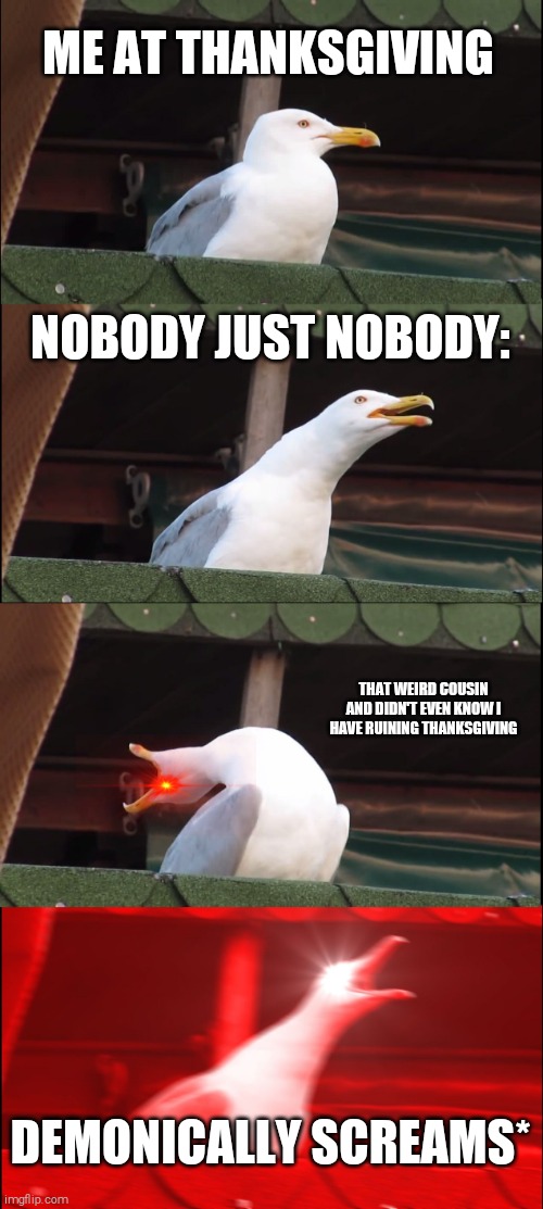 Inhaling Seagull | ME AT THANKSGIVING; NOBODY JUST NOBODY:; THAT WEIRD COUSIN AND DIDN'T EVEN KNOW I HAVE RUINING THANKSGIVING; DEMONICALLY SCREAMS* | image tagged in memes,inhaling seagull | made w/ Imgflip meme maker