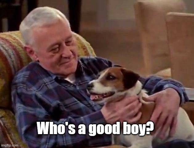 Who's a good boy? | image tagged in dogs | made w/ Imgflip meme maker