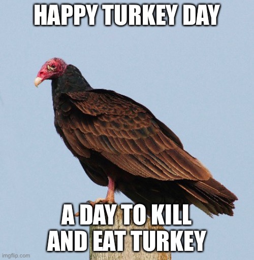 Thanks giving | HAPPY TURKEY DAY; A DAY TO KILL AND EAT TURKEY | image tagged in thanks giving | made w/ Imgflip meme maker