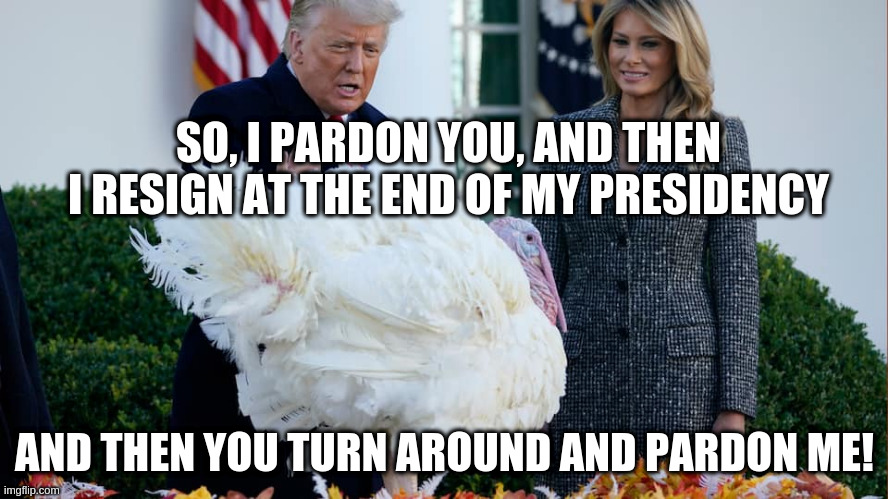 It's worth a try anyway | SO, I PARDON YOU, AND THEN I RESIGN AT THE END OF MY PRESIDENCY; AND THEN YOU TURN AROUND AND PARDON ME! | image tagged in trump,humor,turkey,pardon,presidential pardon,thanksgiving | made w/ Imgflip meme maker