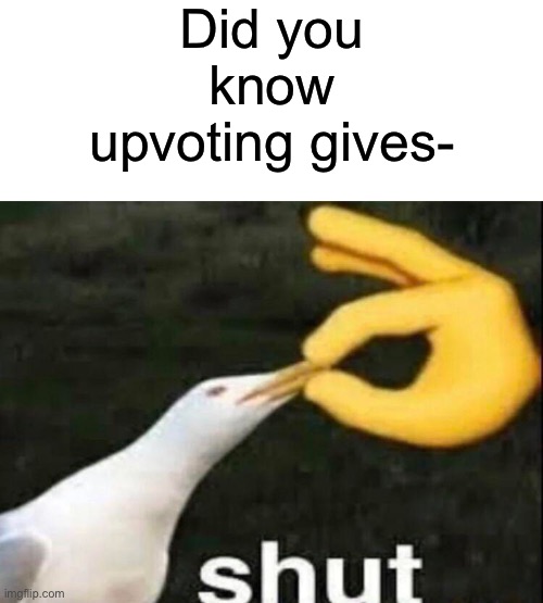 SHUT | Did you know upvoting gives- | image tagged in shut | made w/ Imgflip meme maker