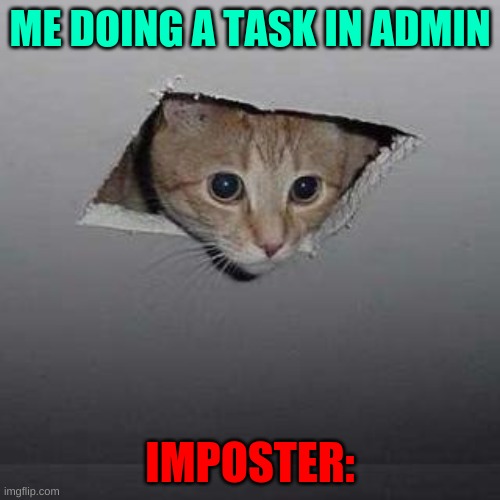 Among Us Vent | ME DOING A TASK IN ADMIN; IMPOSTER: | image tagged in memes,ceiling cat,games | made w/ Imgflip meme maker