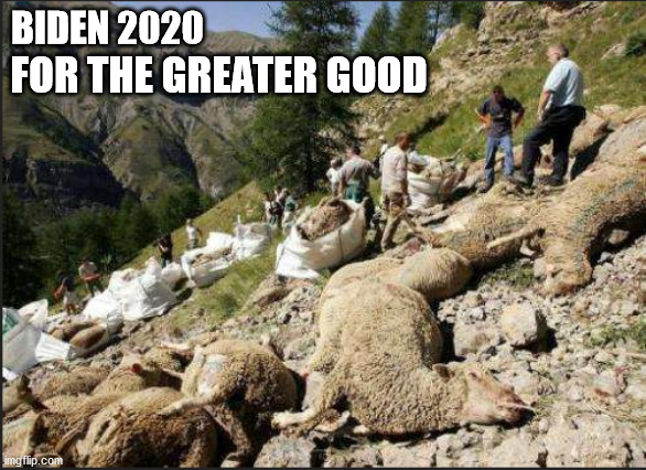 FOR THE GREATER GOOD; BIDEN 2020 | image tagged in biden sheep over a cliff | made w/ Imgflip meme maker