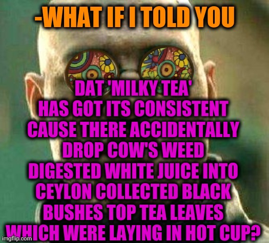 -Mythbusters. | -WHAT IF I TOLD YOU; DAT 'MILKY TEA' HAS GOT ITS CONSISTENT CAUSE THERE ACCIDENTALLY DROP COW'S WEED DIGESTED WHITE JUICE INTO CEYLON COLLECTED BLACK BUSHES TOP TEA LEAVES WHICH WERE LAYING IN HOT CUP? | image tagged in acid kicks in morpheus,milkshake,tea,creation,cows,orange juice | made w/ Imgflip meme maker