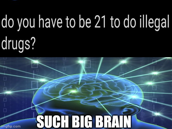 Saw this on reddit | SUCH BIG BRAIN | image tagged in funny | made w/ Imgflip meme maker