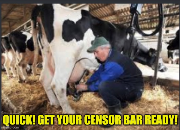 Exposed you-know-whats! Panic! | QUICK! GET YOUR CENSOR BAR READY! | image tagged in milking cow,cows,breasts,censorship,please save us from this image | made w/ Imgflip meme maker