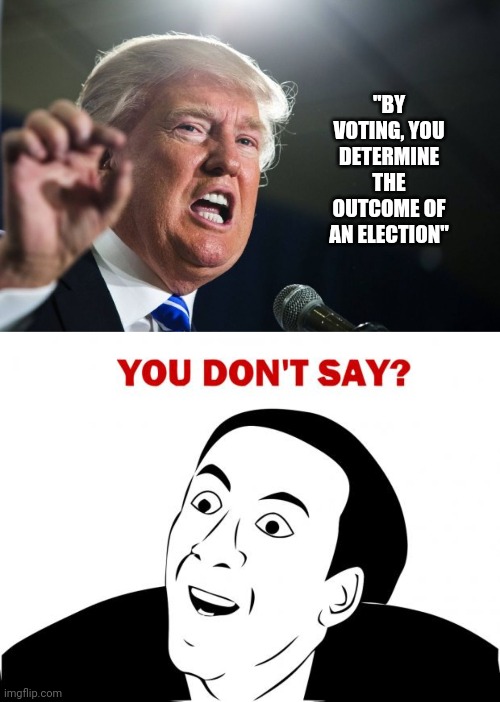 "BY VOTING, YOU DETERMINE THE OUTCOME OF AN ELECTION" | image tagged in donald trump,memes,you don't say | made w/ Imgflip meme maker