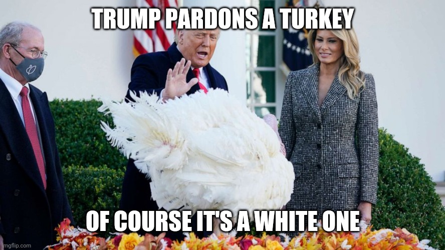 TRUMP PARDONS A TURKEY; OF COURSE IT'S A WHITE ONE | image tagged in turkeys,white privilege,anti joke chicken,just kidding,bad joke hitler | made w/ Imgflip meme maker