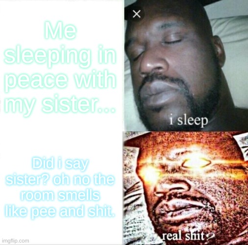 this might be the end of my live..               ?? | Me sleeping in peace with my sister... Did i say sister? oh no the room smells like pee and shit. | image tagged in memes,sleeping shaq | made w/ Imgflip meme maker