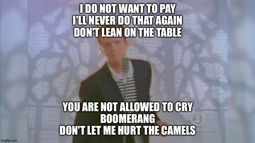 Rick roll but google translated (search it on yt lol) | I DO NOT WANT TO PAY
I'LL NEVER DO THAT AGAIN
DON'T LEAN ON THE TABLE; YOU ARE NOT ALLOWED TO CRY
BOOMERANG
DON'T LET ME HURT THE CAMELS | image tagged in rick roll,google translate sings | made w/ Imgflip meme maker