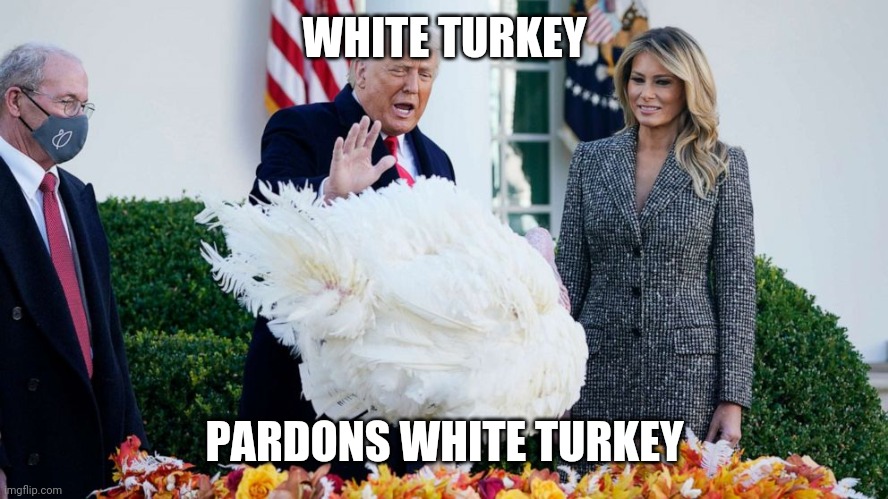 Another version of the same joke | WHITE TURKEY; PARDONS WHITE TURKEY | made w/ Imgflip meme maker